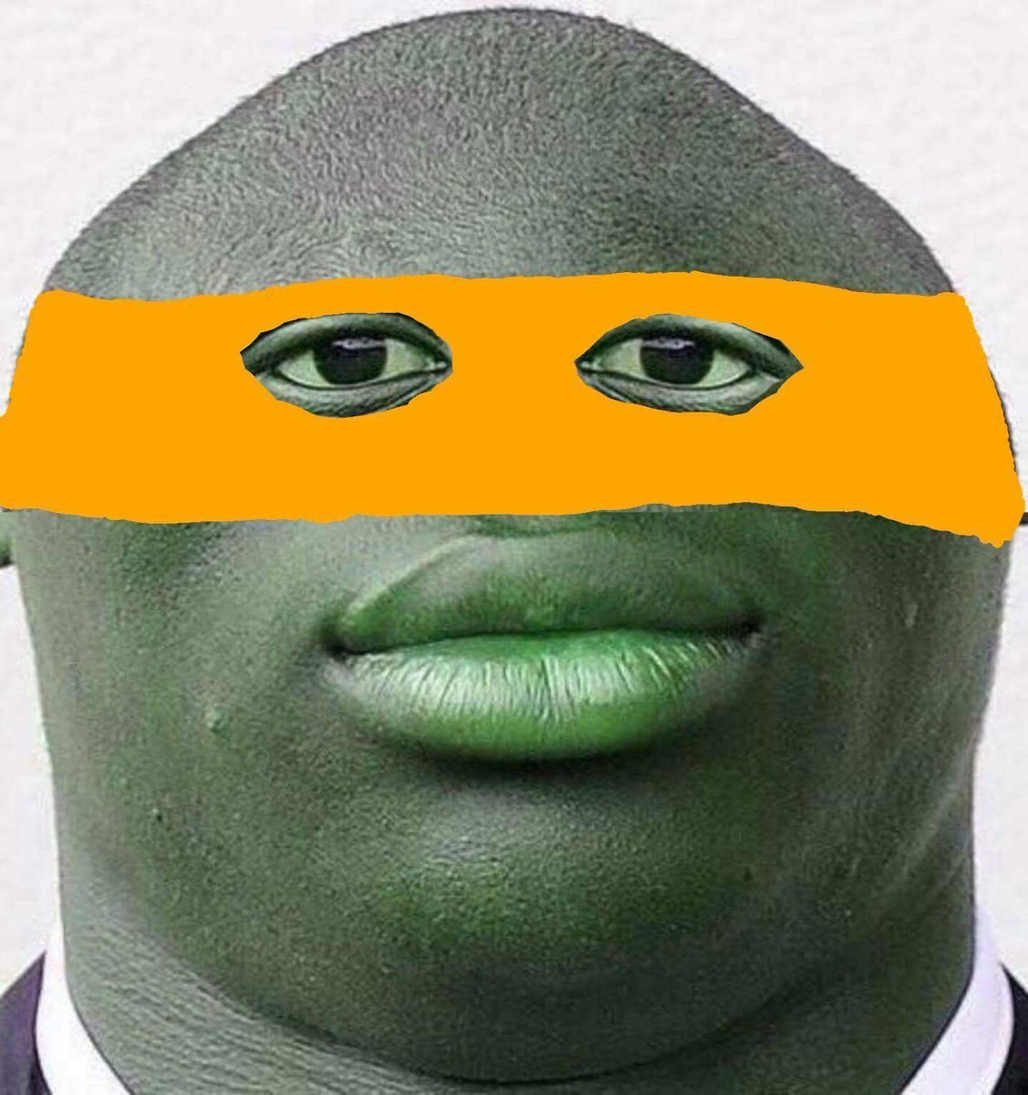 Wanted turtle